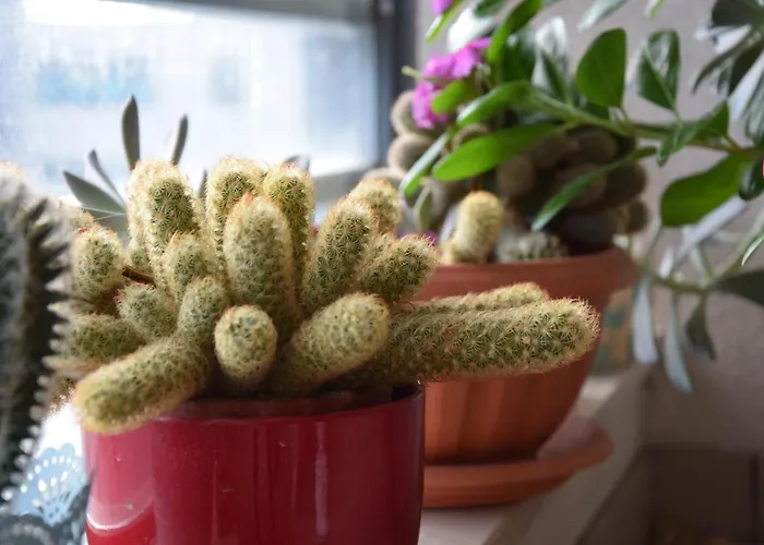 Apartman Luxurious Majda, 2 Bathrooms And Free Parking Split