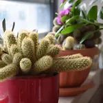 公寓 Luxurious Majda, 2 Bathrooms And Free Parking 斯普利特